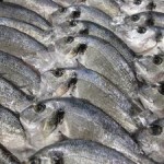 poissons_2