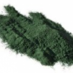 spiruline